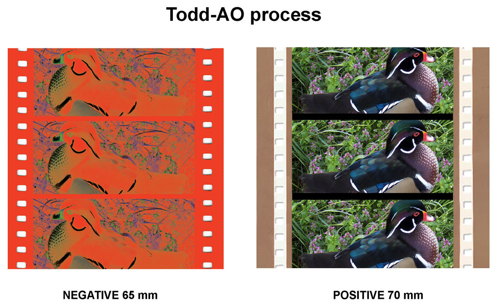 Todd-AO Negative/Positive example